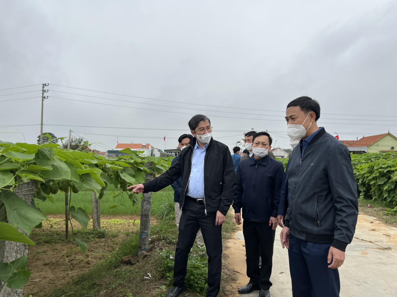 Chủ tịch UBND thị xã kiểm tra tình hình sản xuất đầu năm tại Quỳnh Liên