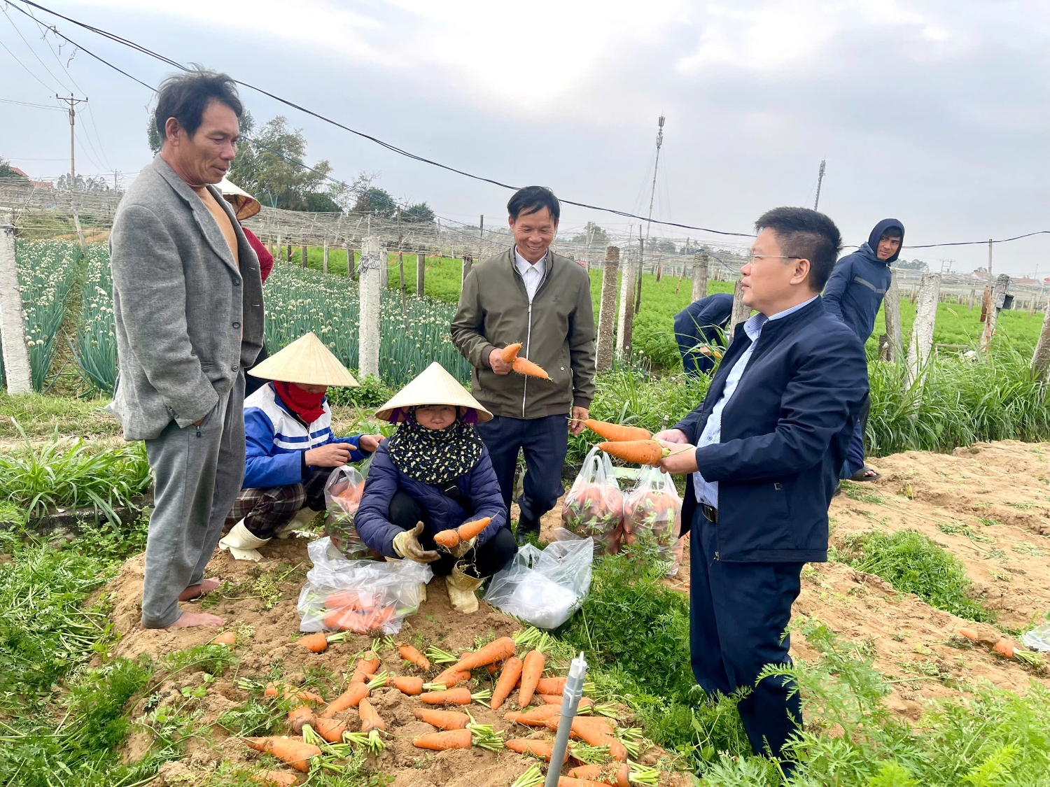 Bí thư Đảng ủy Hồ Văn Sơn thăm bà con nhân dân sản xuất đầu xuân 2025